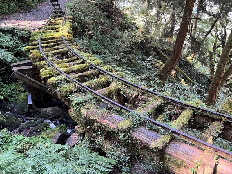 seesunny32 大同-太平山見晴懷古步道 躍上CNN的迷人小徑 輕鬆好入手
