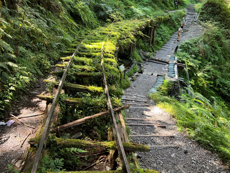 seesunny39 大同-太平山見晴懷古步道 躍上CNN的迷人小徑 輕鬆好入手