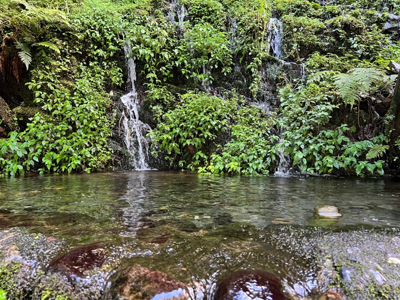 seesunny41 大同-太平山見晴懷古步道 躍上CNN的迷人小徑 輕鬆好入手