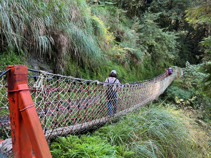 seesunny46 大同-太平山見晴懷古步道 躍上CNN的迷人小徑 輕鬆好入手