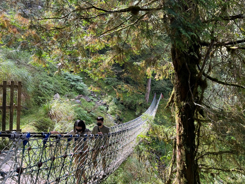 seesunny47 大同-太平山見晴懷古步道 躍上CNN的迷人小徑 輕鬆好入手