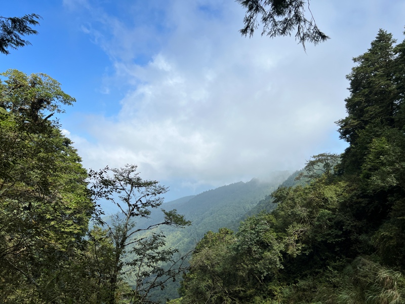 seesunny48 大同-太平山見晴懷古步道 躍上CNN的迷人小徑 輕鬆好入手