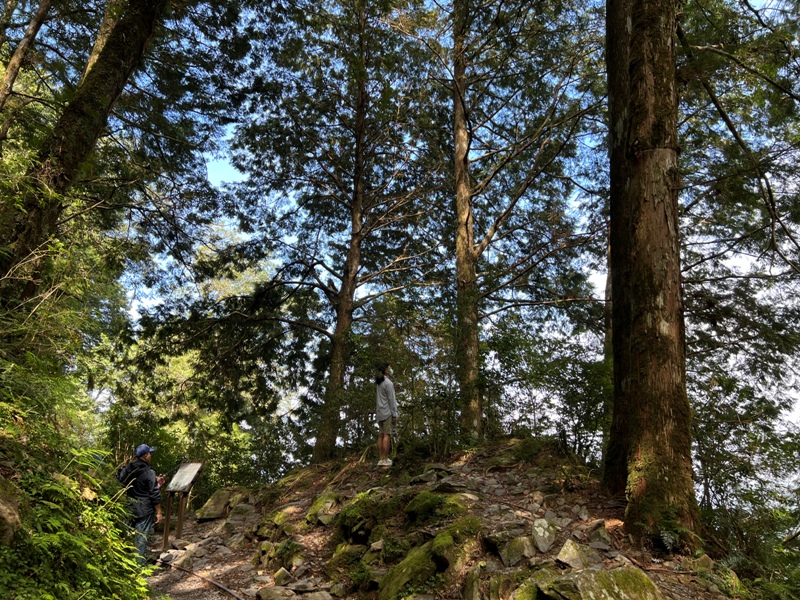 seesunny49 大同-太平山見晴懷古步道 躍上CNN的迷人小徑 輕鬆好入手