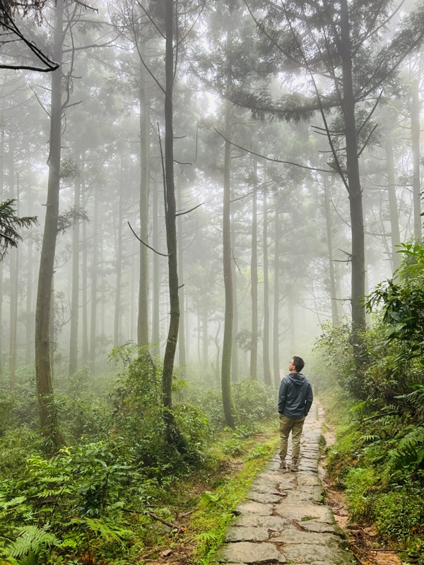 dingshan0101 陽明山-頂山石梯嶺步道 迷霧中的步道體驗 夢幻柳杉林藏在陽明山中