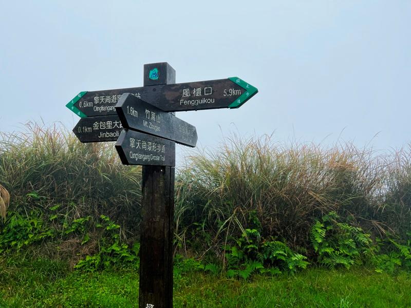 dingshan0107 陽明山-頂山石梯嶺步道 迷霧中的步道體驗 夢幻柳杉林藏在陽明山中