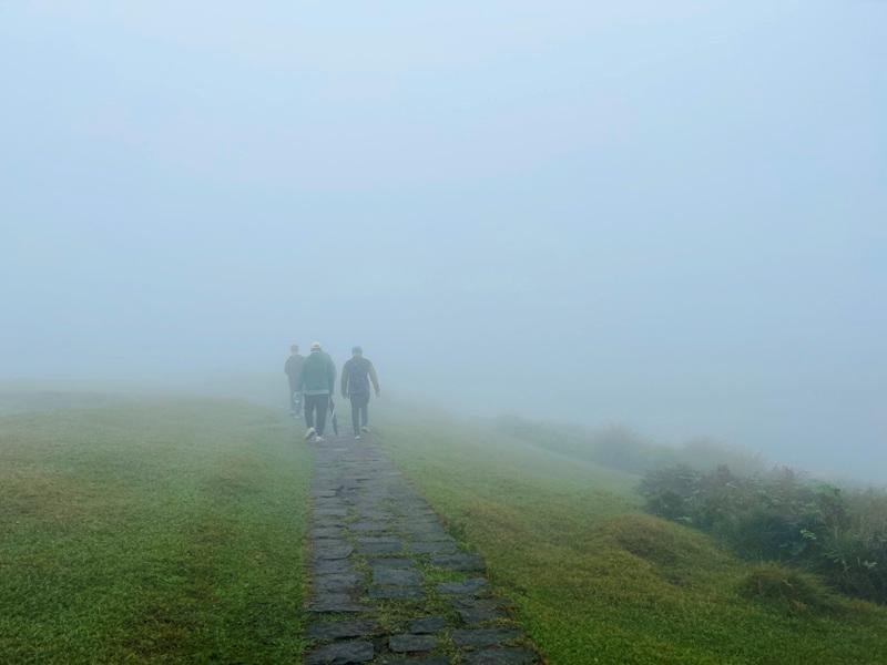 dingshan0108 陽明山-頂山石梯嶺步道 迷霧中的步道體驗 夢幻柳杉林藏在陽明山中