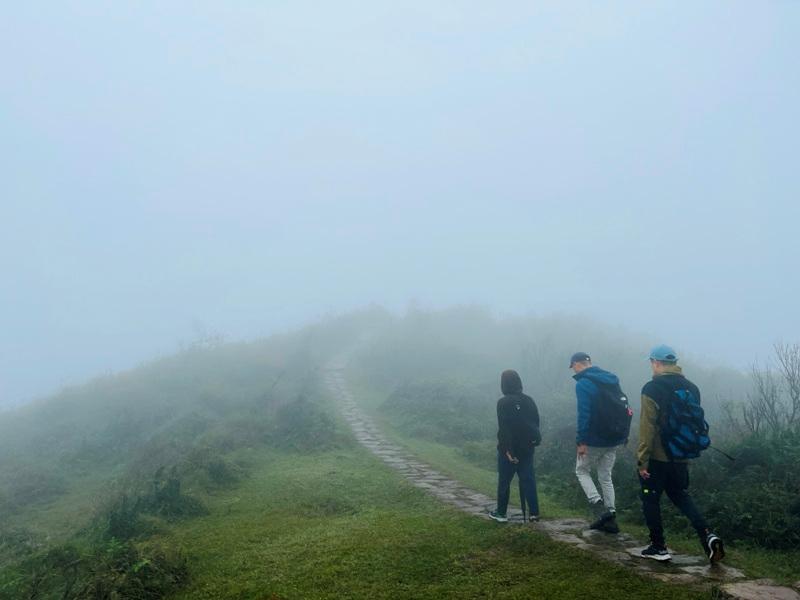 dingshan0114 陽明山-頂山石梯嶺步道 迷霧中的步道體驗 夢幻柳杉林藏在陽明山中