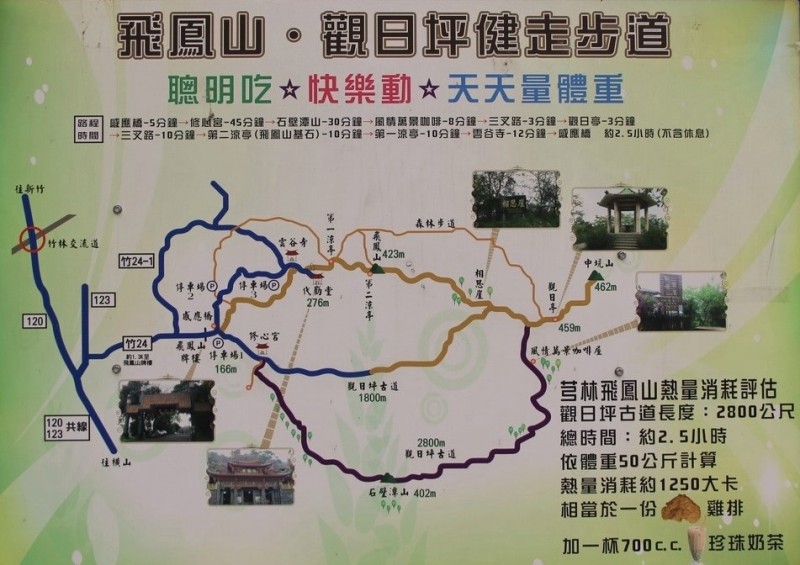 feyfong01 芎林-飛鳳山中坑山大板根 秋高氣爽最好的活動