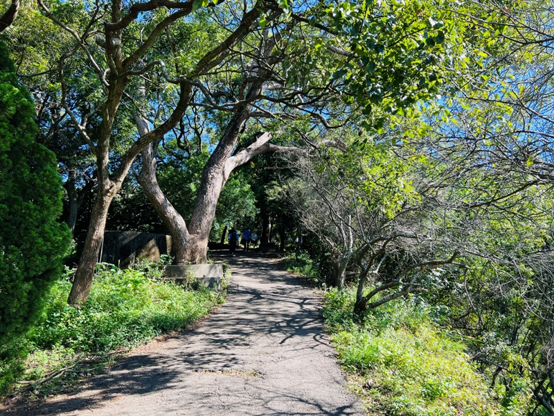 feyfong05 芎林-飛鳳山 觀日坪步道 O型健走