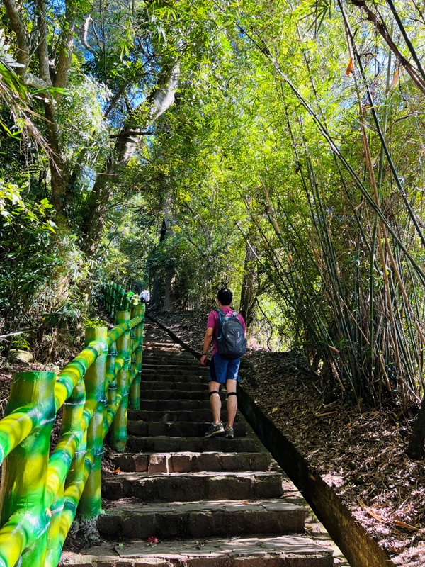 feyfong07 芎林-飛鳳山 觀日坪步道 O型健走
