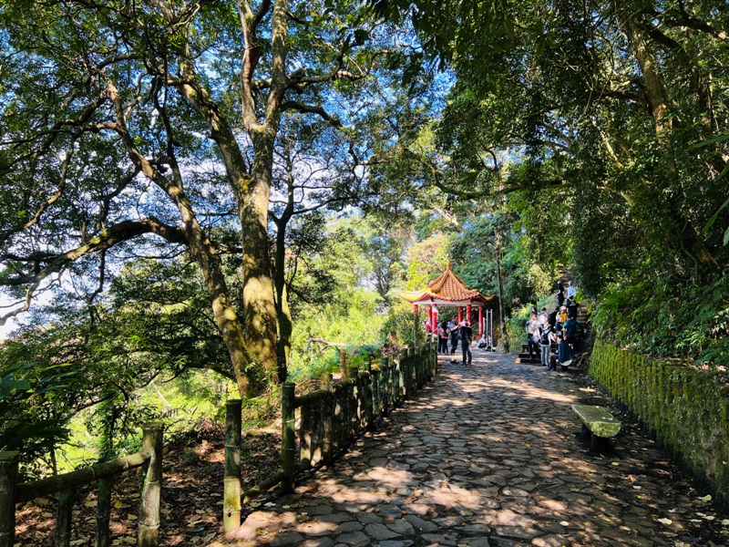 feyfong08 芎林-飛鳳山 觀日坪步道 O型健走