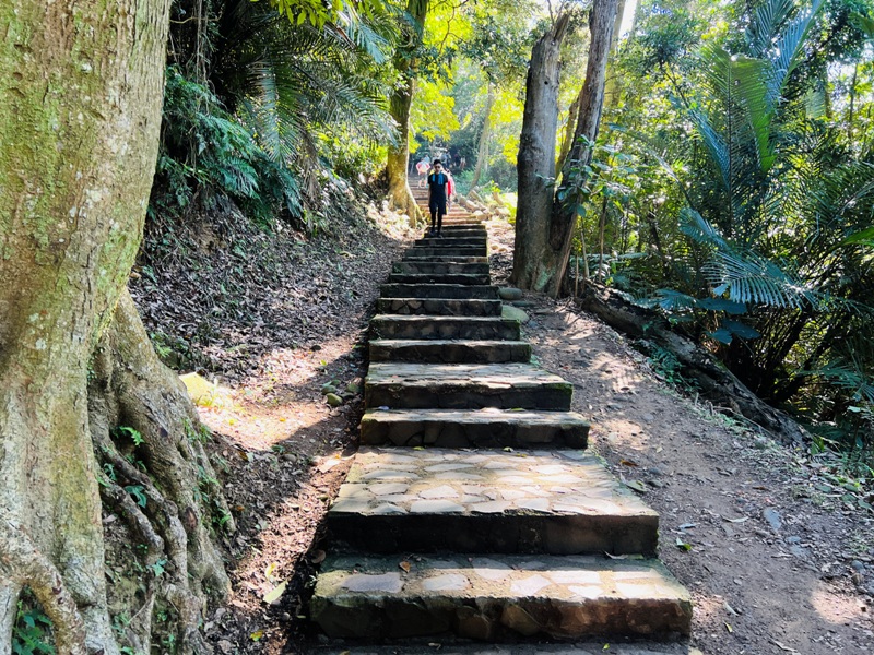 feyfong10 芎林-飛鳳山 觀日坪步道 O型健走