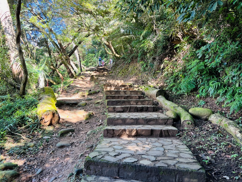 feyfong11 芎林-飛鳳山 觀日坪步道 O型健走