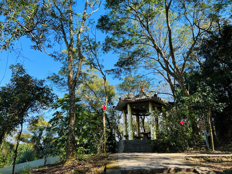 feyfong13 芎林-飛鳳山 觀日坪步道 O型健走
