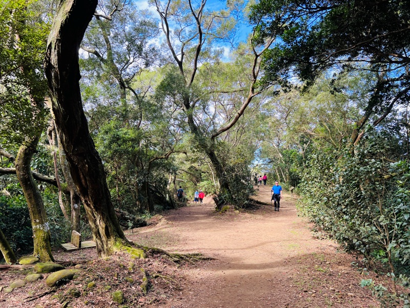 feyfong17 芎林-飛鳳山 觀日坪步道 O型健走