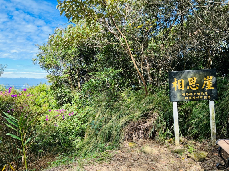 feyfong18 芎林-飛鳳山 觀日坪步道 O型健走