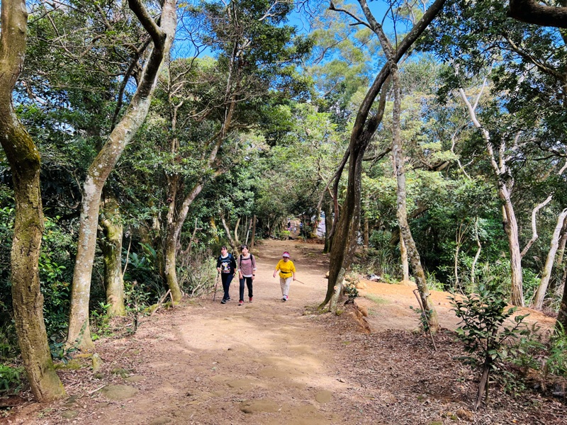 feyfong19 芎林-飛鳳山 觀日坪步道 O型健走