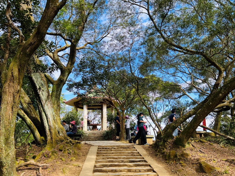 feyfong20 芎林-飛鳳山 觀日坪步道 O型健走