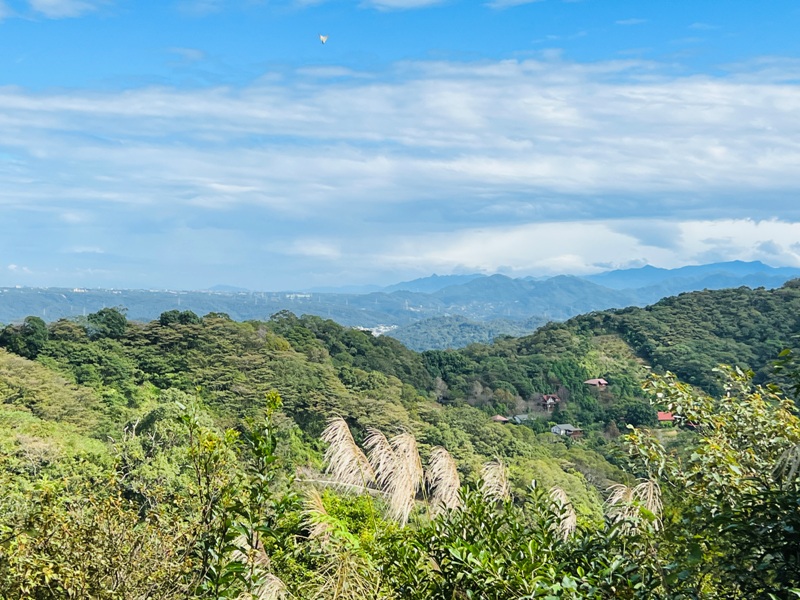 feyfong21 芎林-飛鳳山 觀日坪步道 O型健走