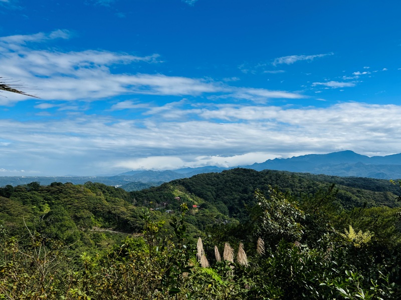 feyfong23 芎林-飛鳳山 觀日坪步道 O型健走