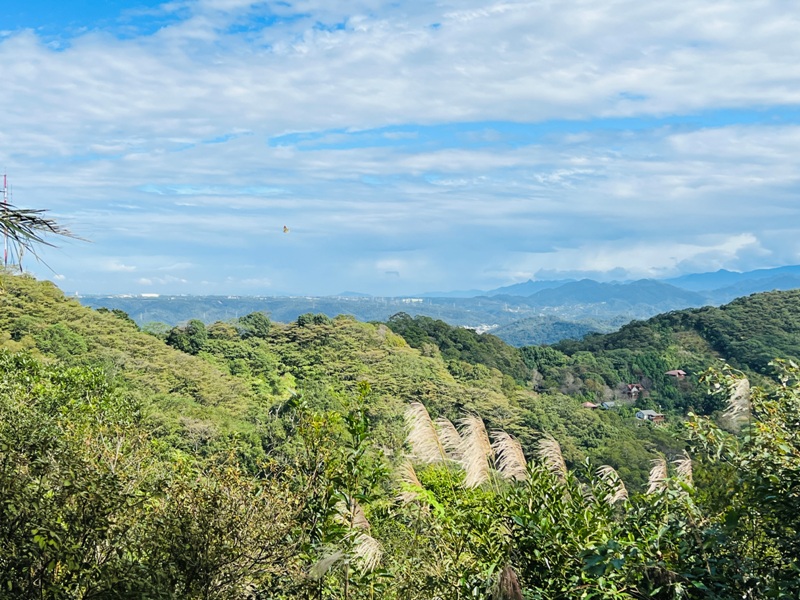 feyfong27 芎林-飛鳳山 觀日坪步道 O型健走