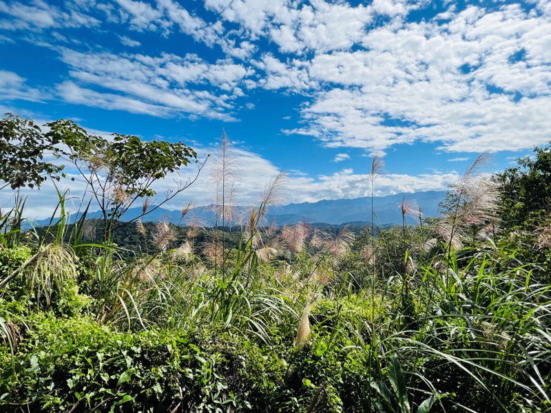 feyfong28 芎林-飛鳳山 觀日坪步道 O型健走
