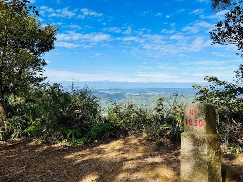 feyfong32 芎林-飛鳳山 觀日坪步道 O型健走