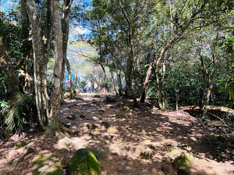 feyfong36 芎林-飛鳳山 觀日坪步道 O型健走