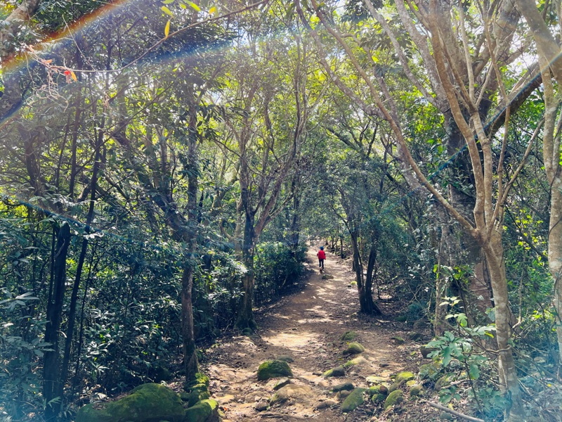 feyfong37 芎林-飛鳳山 觀日坪步道 O型健走