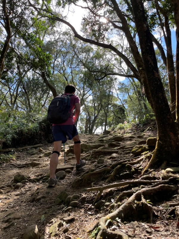 feyfong40 芎林-飛鳳山 觀日坪步道 O型健走