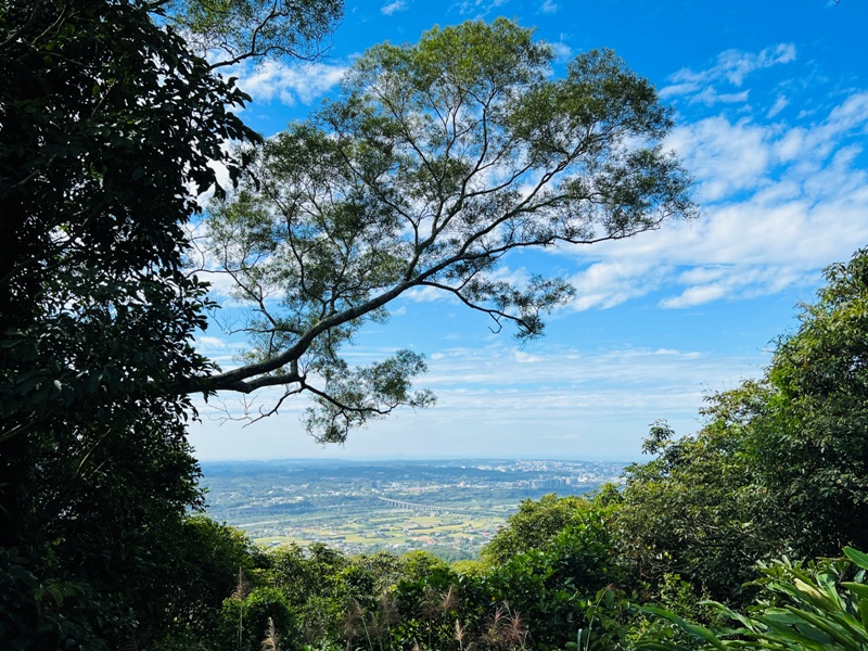 feyfong43 芎林-飛鳳山 觀日坪步道 O型健走