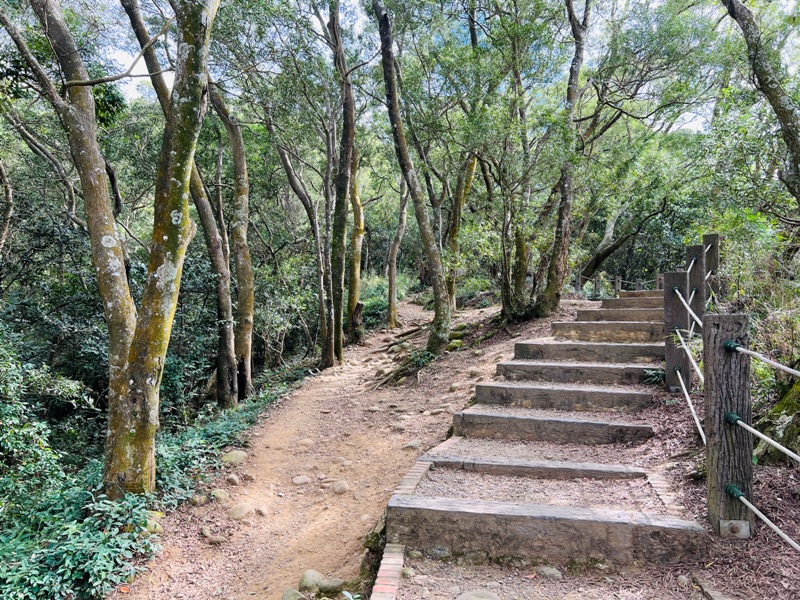 feyfong49 芎林-飛鳳山 觀日坪步道 O型健走