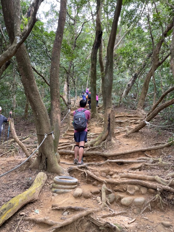feyfong51 芎林-飛鳳山 觀日坪步道 O型健走