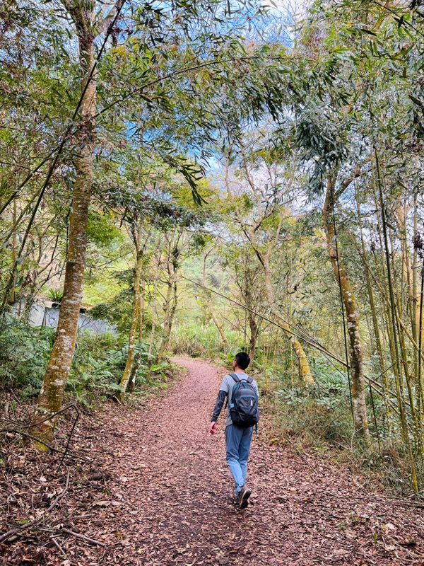 manapanggg06 泰安-馬那邦山 登頂的一抹楓紅