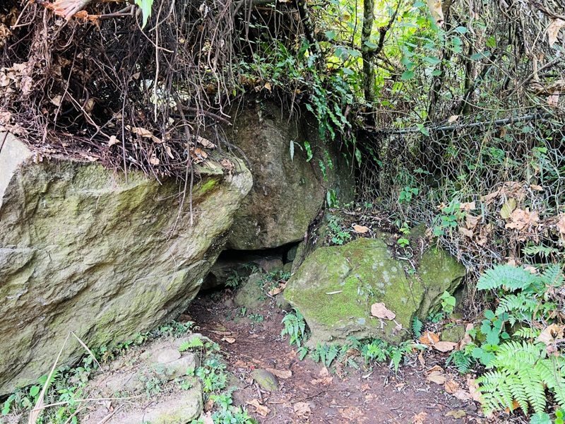 manapanggg08 泰安-馬那邦山 登頂的一抹楓紅