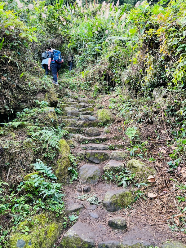 manapanggg09 泰安-馬那邦山 登頂的一抹楓紅