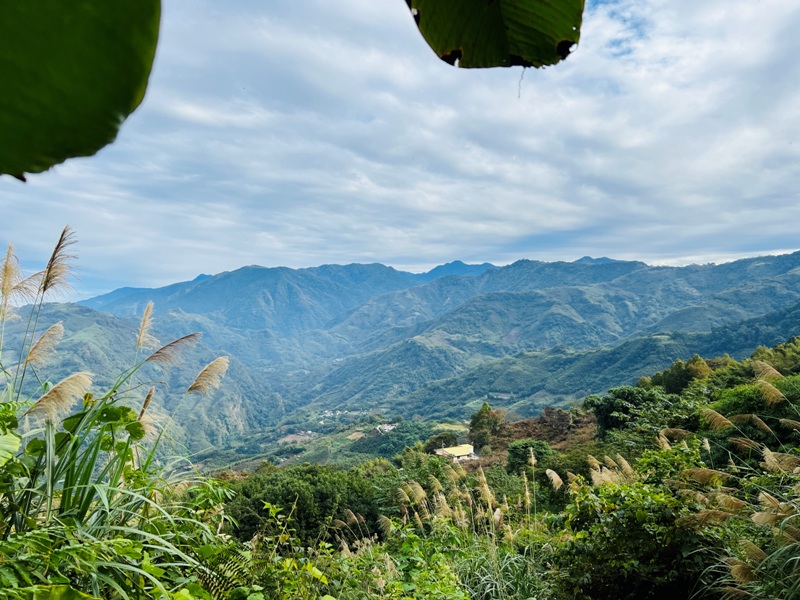 manapanggg10 泰安-馬那邦山 登頂的一抹楓紅