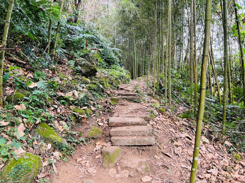 manapanggg11 泰安-馬那邦山 登頂的一抹楓紅