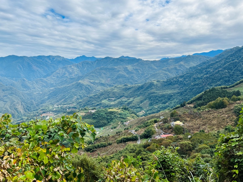 manapanggg12 泰安-馬那邦山 登頂的一抹楓紅