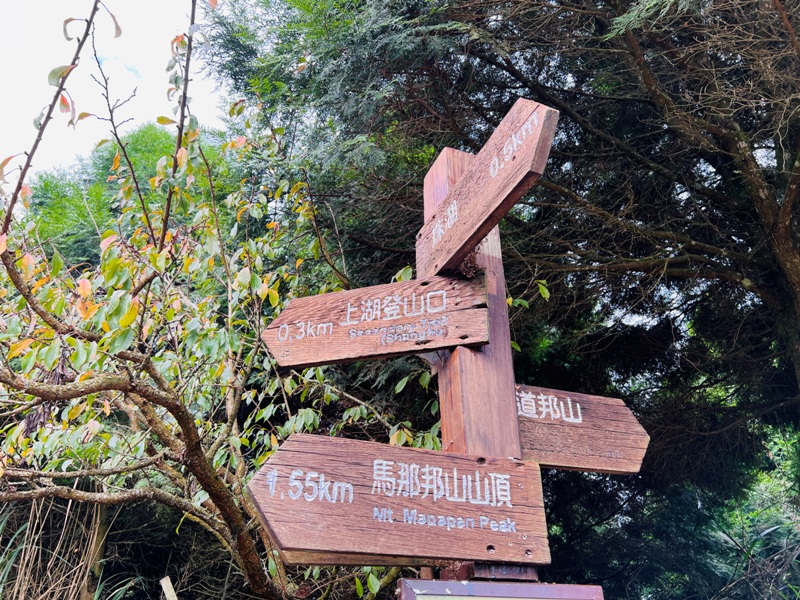 manapanggg13 泰安-馬那邦山 登頂的一抹楓紅