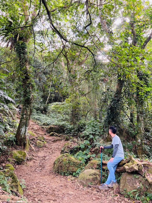 manapanggg16 泰安-馬那邦山 登頂的一抹楓紅