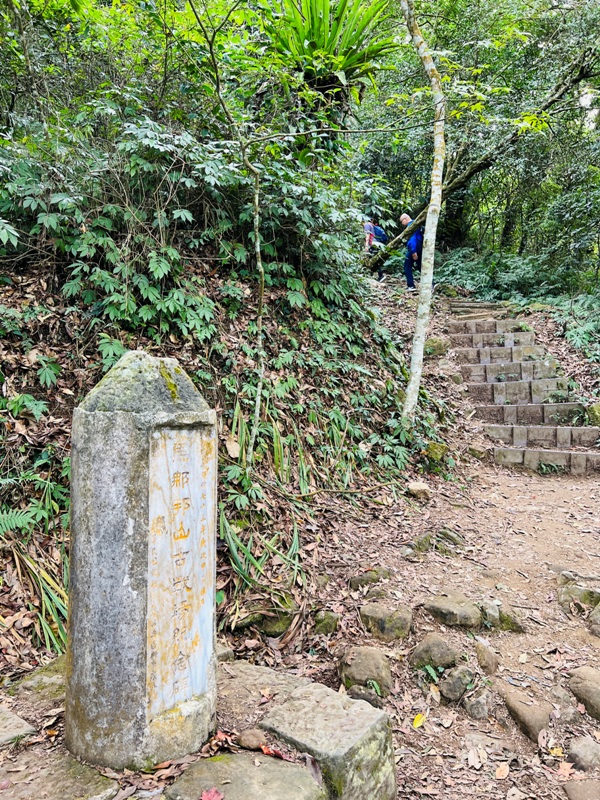 manapanggg29 泰安-馬那邦山 登頂的一抹楓紅