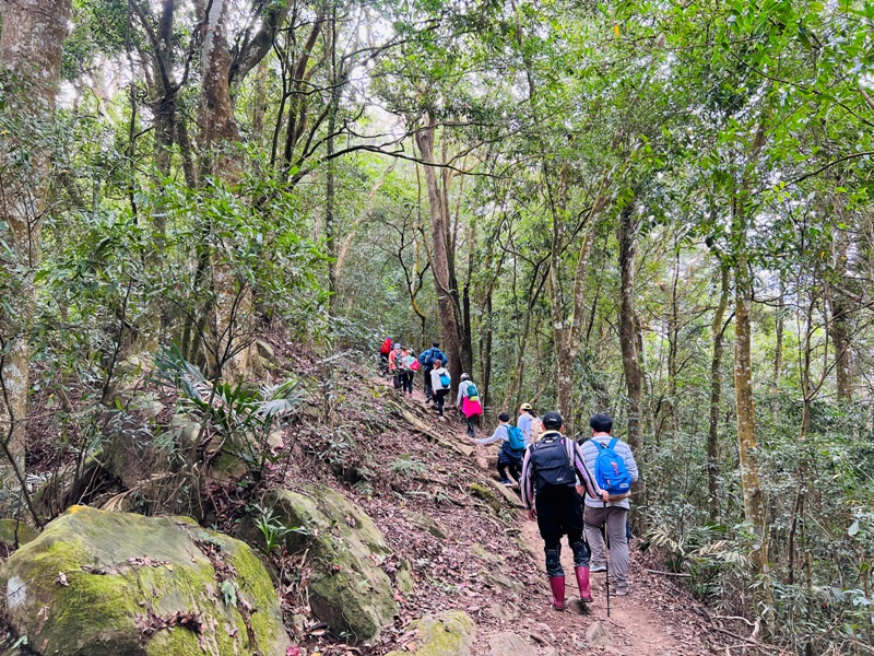 manapanggg30 泰安-馬那邦山 登頂的一抹楓紅