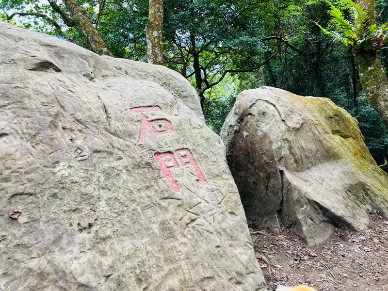 manapanggg31 泰安-馬那邦山 登頂的一抹楓紅