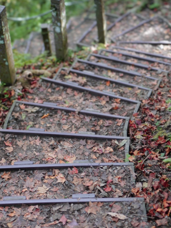 manapanggg37 泰安-馬那邦山 登頂的一抹楓紅