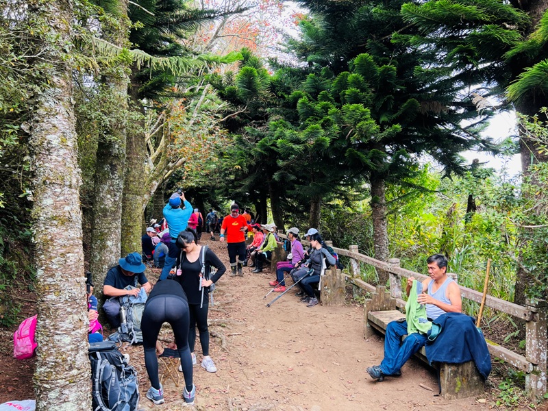 manapanggg38 泰安-馬那邦山 登頂的一抹楓紅