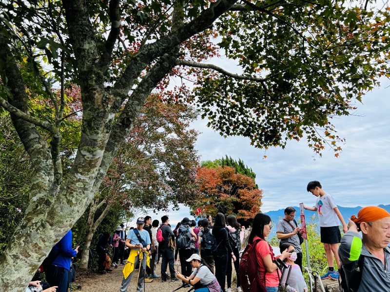 manapanggg39 泰安-馬那邦山 登頂的一抹楓紅