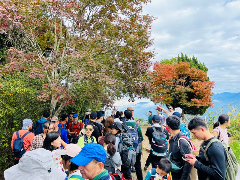 manapanggg40 泰安-馬那邦山 登頂的一抹楓紅
