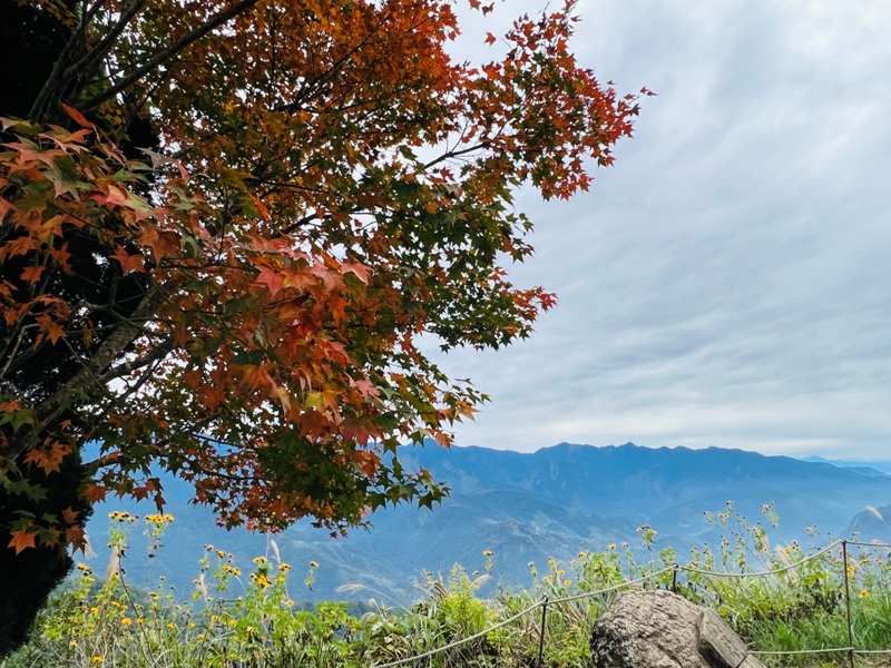 manapanggg43 泰安-馬那邦山 登頂的一抹楓紅
