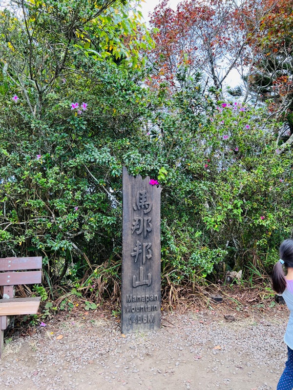 manapanggg44 泰安-馬那邦山 登頂的一抹楓紅